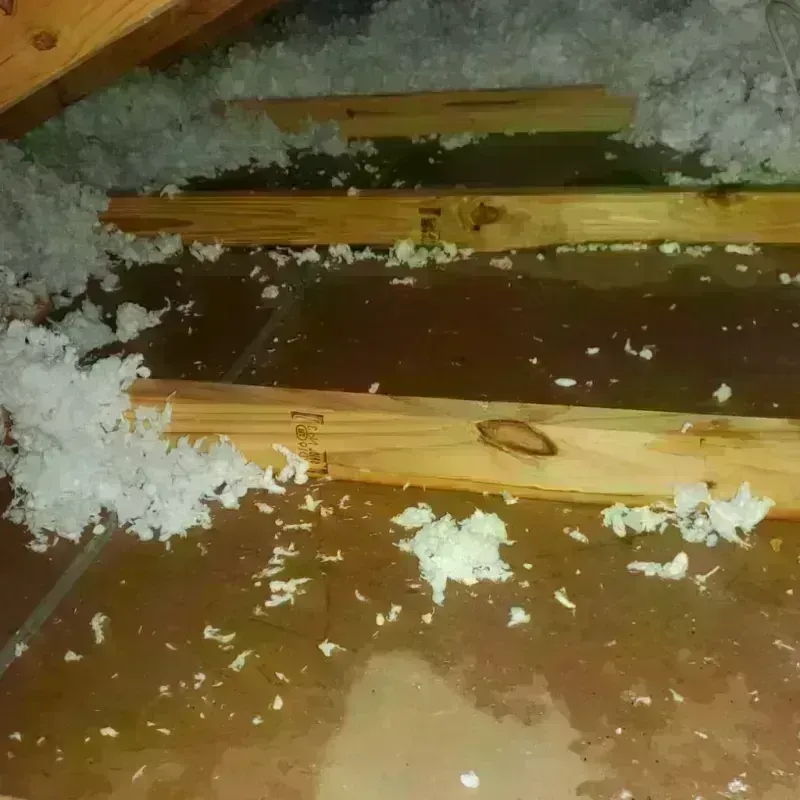 Attic Water Damage in Routt County, CO